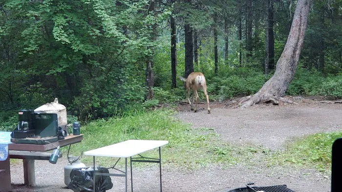 Lost Johnny Campground (recgovnpsdata) Picture 9