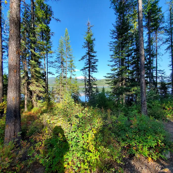 LOST JOHNNY POINT CAMPGROUND Picture 3