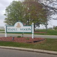Maple Woods ico