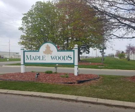 Maple Woods