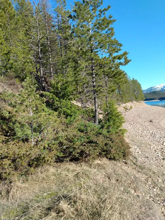 Goose Head Campground Picture 7