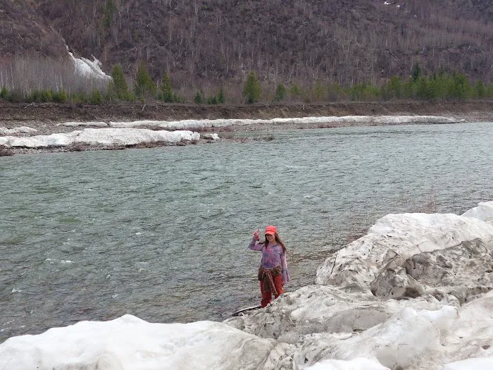 North Fork of the Flathead River Picture 6