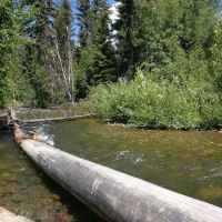 Logging Creek Campground ico