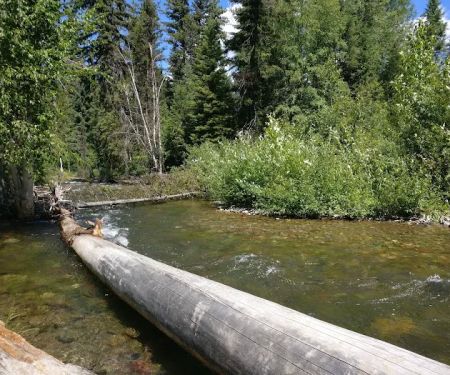 Logging Creek Campground