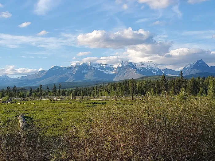 Ben Rover Cabin Picture 5