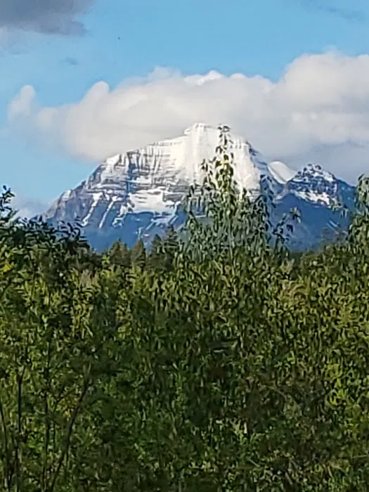 Ben Rover Cabin Picture 2