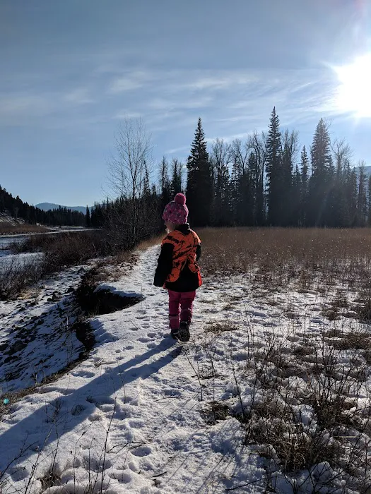 Ben Rover Cabin Picture 10