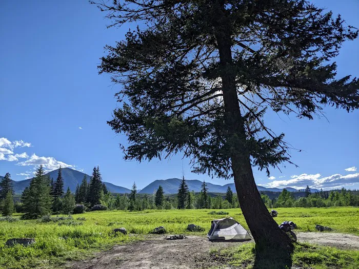 Polebridge dispersed campsites Picture 4