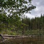 Lower Quartz Lake Campground