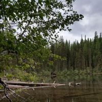 Lower Quartz Lake Campground ico