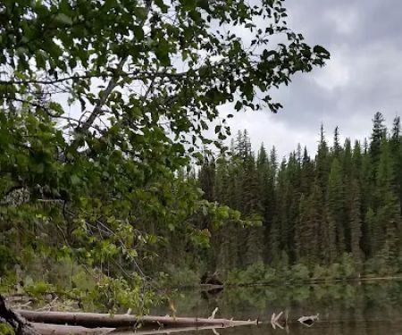 Lower Quartz Lake Campground