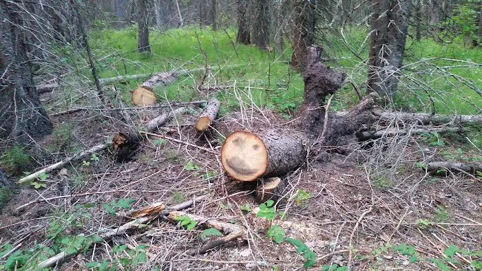 Round Prairie Campground Picture 6