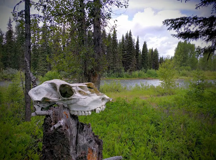 Round Prairie Campground Picture 9