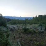 Round Prairie Campground