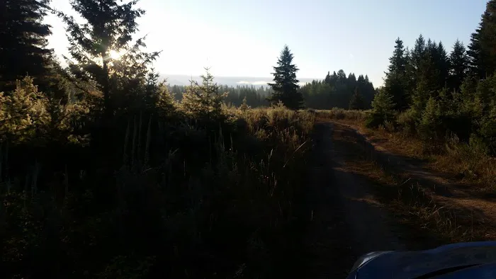 Round Prairie Campground Picture 3