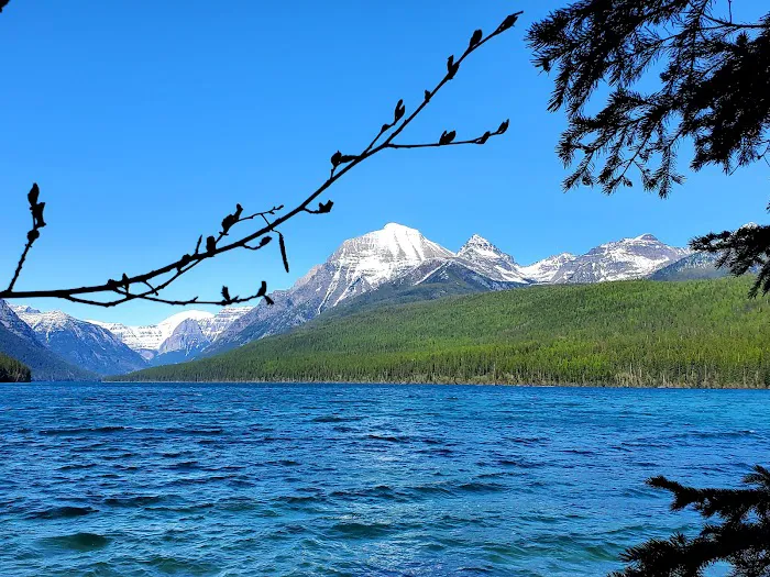 Bowman Lake Campground Picture 1