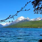 Bowman Lake Campground