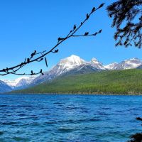 Bowman Lake Campground ico