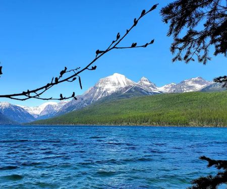 Bowman Lake Campground