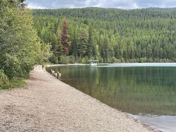 Bowman Lake Campground Picture 6