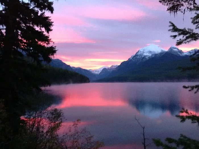 Bowman Lake Campground Picture 8