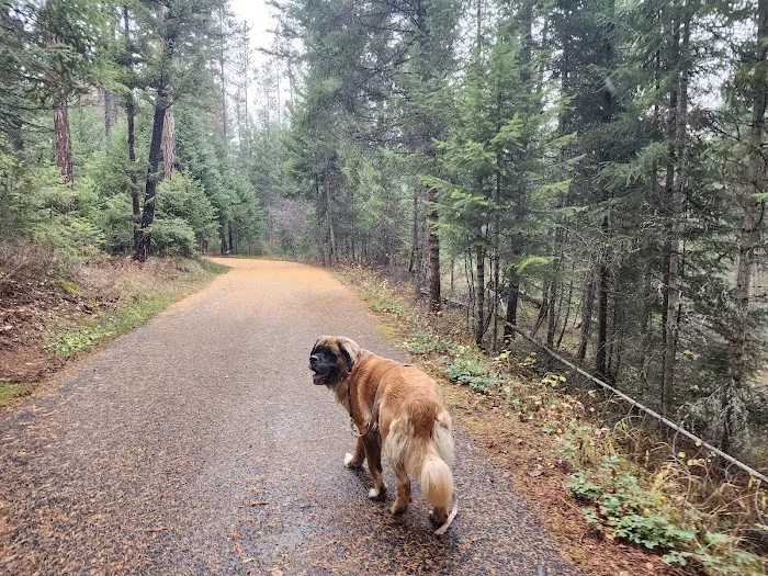 Lolo Creek Campground and Picnic Area Picture 2
