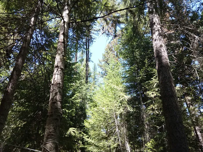 Lolo Creek Campground and Picnic Area Picture 1