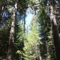 Lolo Creek Campground and Picnic Area ico