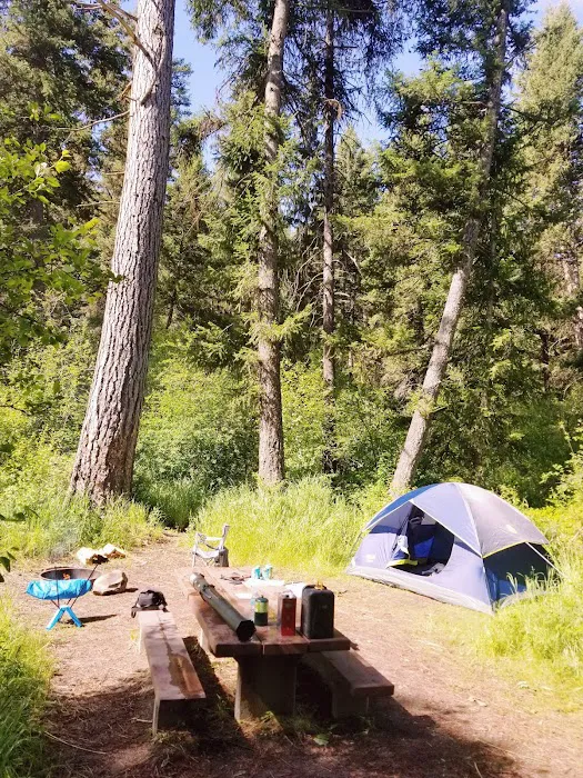 Lolo Creek Campground and Picnic Area Picture 10