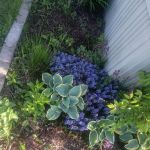 Glenridge Manor Mobile Home Park