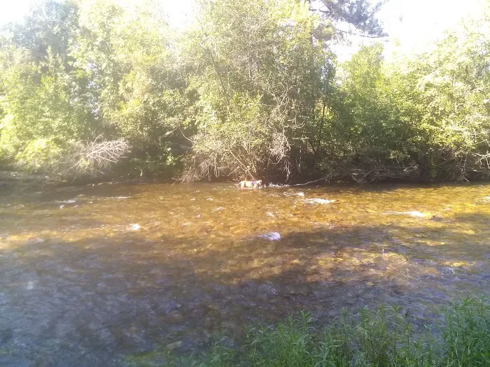 Jocko Hollow Campground Picture 9