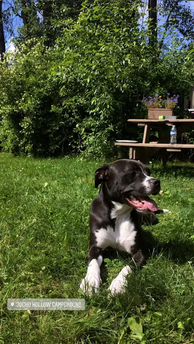 Jocko Hollow Campground Picture 7