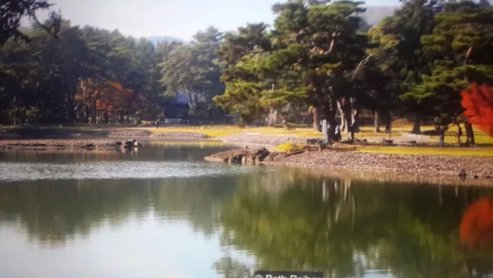 Jocko Hollow Campground Picture 10