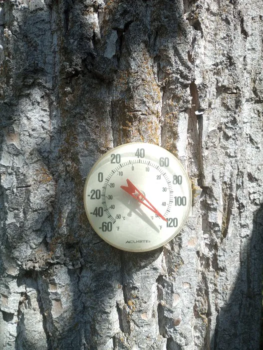 Jocko Hollow Campground Picture 3