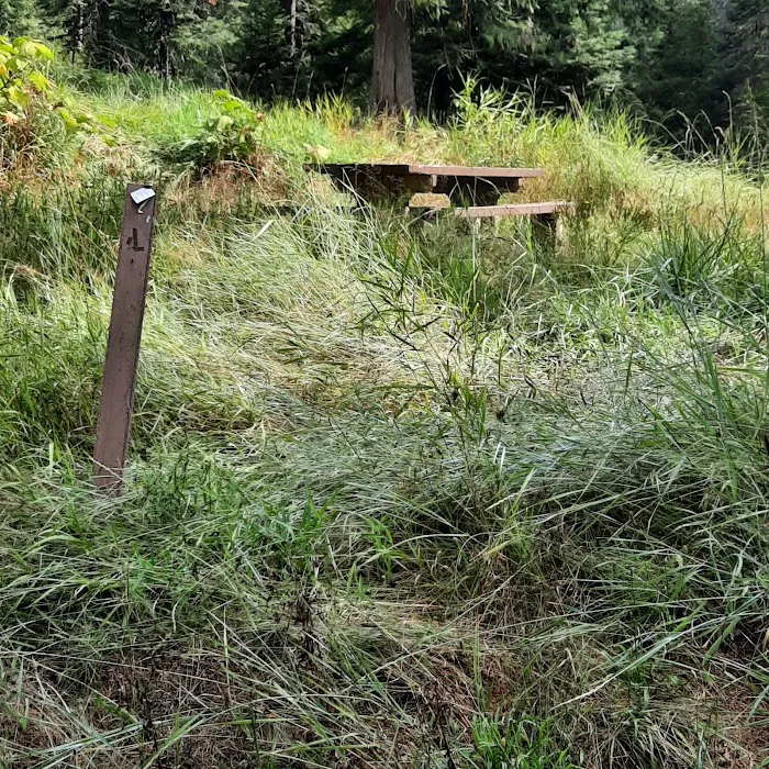 Glover Campground Picture 4