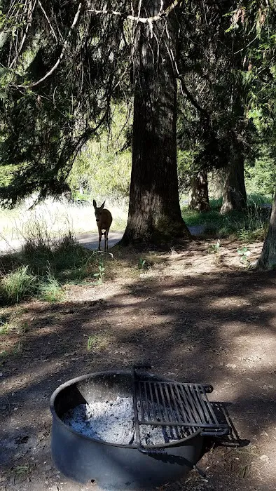Glover Campground Picture 5