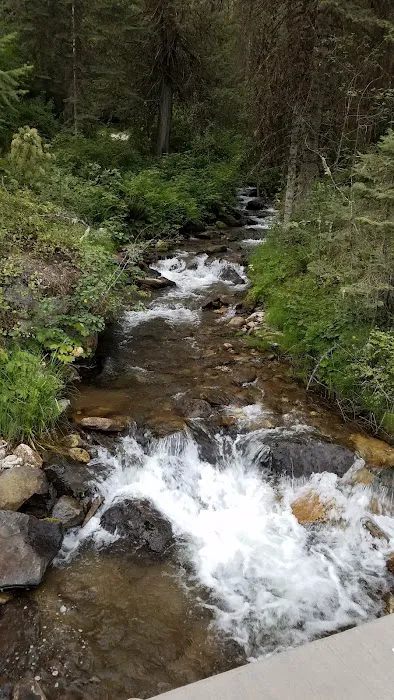 Glover Campground Picture 10