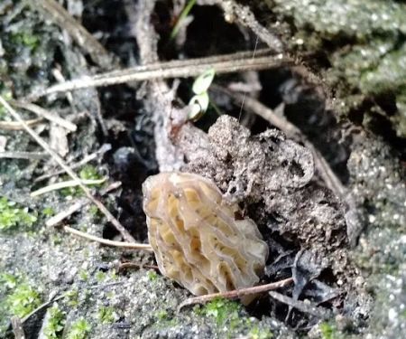 Slide Creek Campground