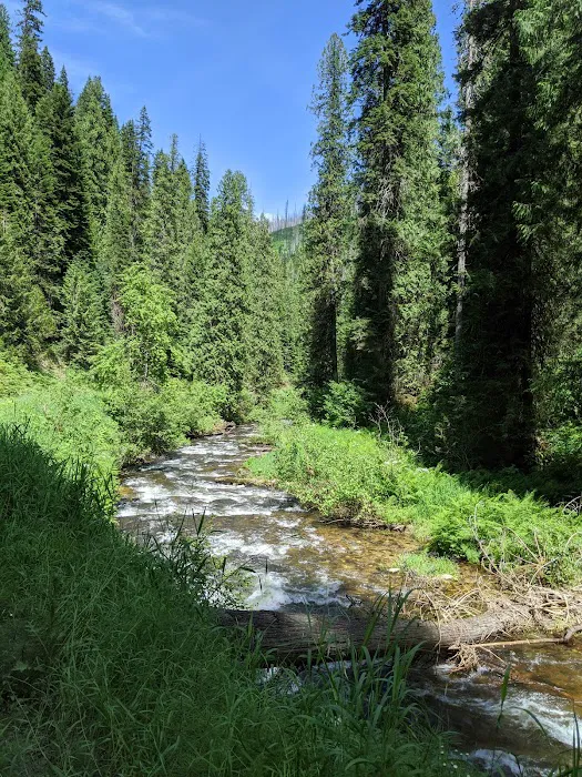 Johnson Bar Campground & Group Site Picture 2