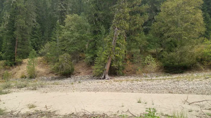 Johnson Bar Campground & Group Site Picture 10