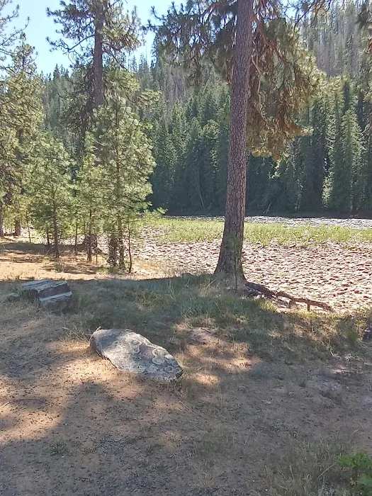 Johnson Bar Campground & Group Site Picture 4