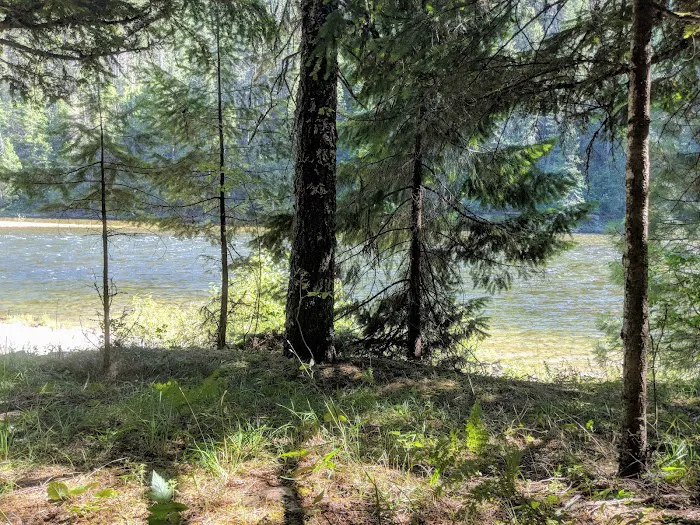 Wild Goose Campground Picture 3