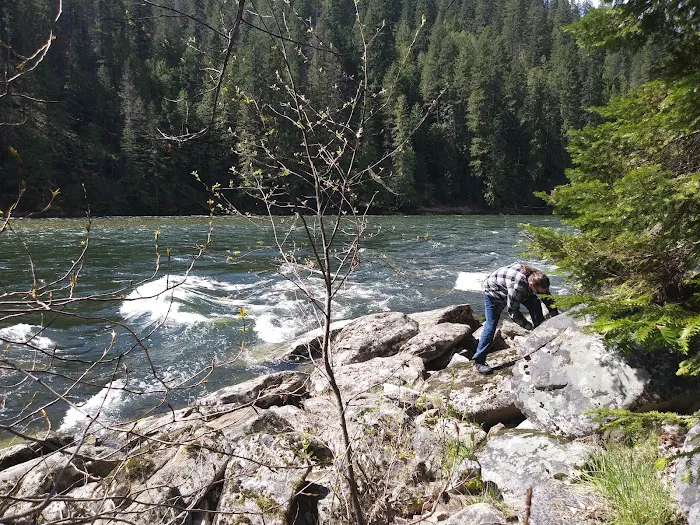 Wild Goose Campground Picture 4