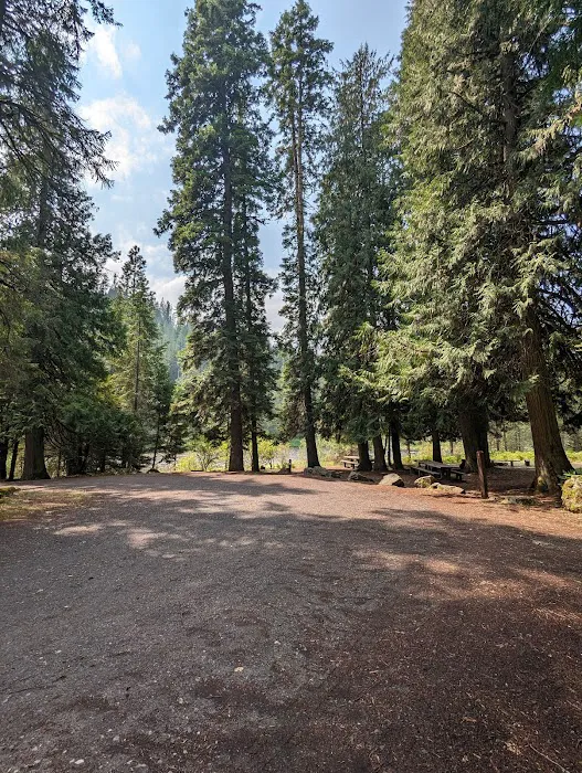 Wild Goose Campground Picture 9