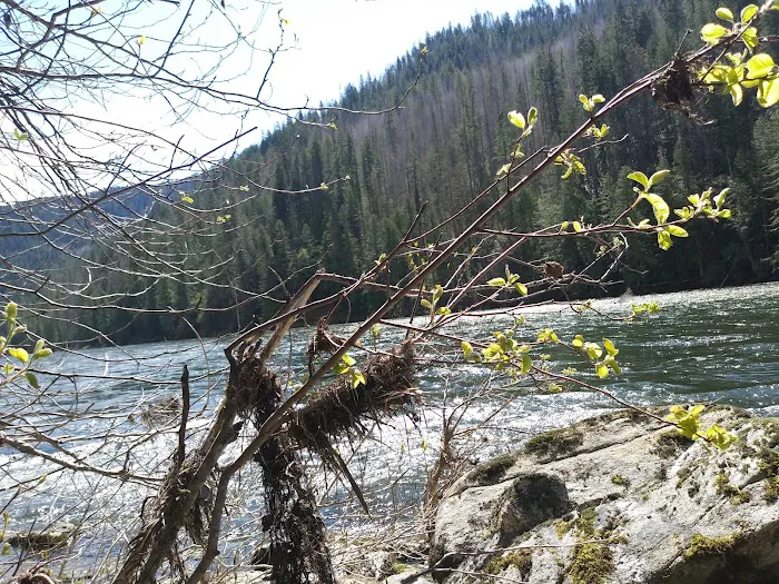Wild Goose Campground Picture 5