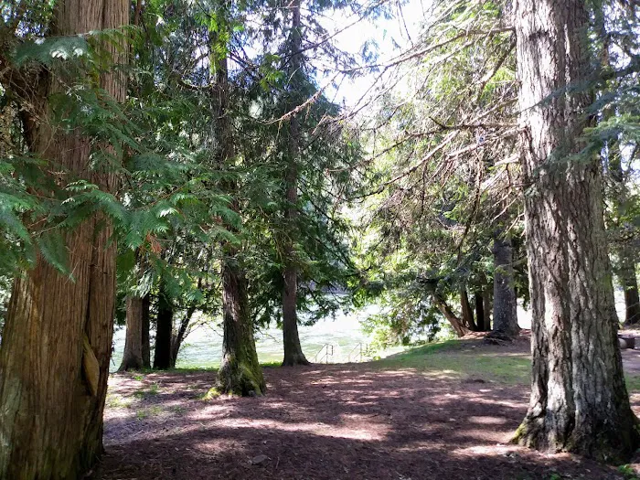 Wild Goose Campground Picture 8