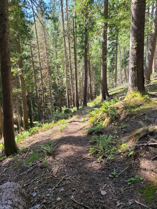 CCC Campground Picture 5