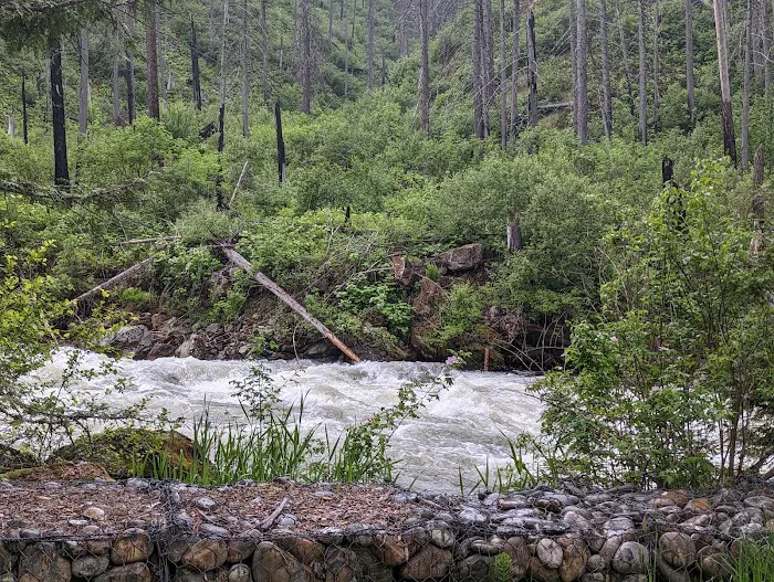 Selway Falls Campground Picture 6