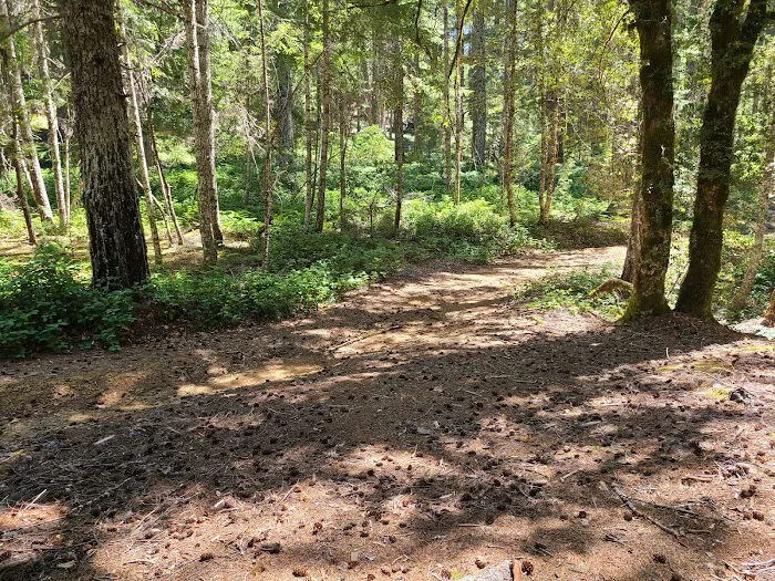 Elko Dispersed Camping Picture 1