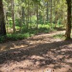 Elko Dispersed Camping